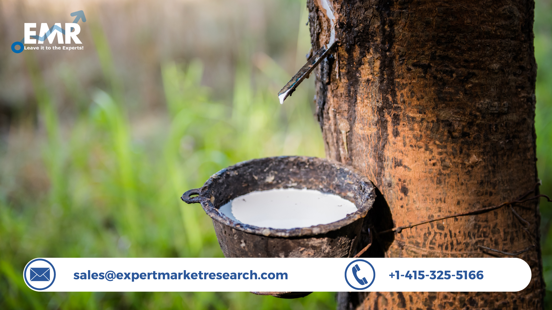 Read more about the article Global Rubber Market Size to Grow at a CAGR of 5.0% in the Forecast Period of 2024-2032