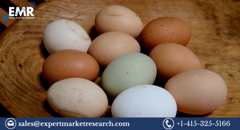 Read more about the article Global Specialty Egg Market Size to Grow at a CAGR of 9.10% in the Forecast Period of 2023-2028