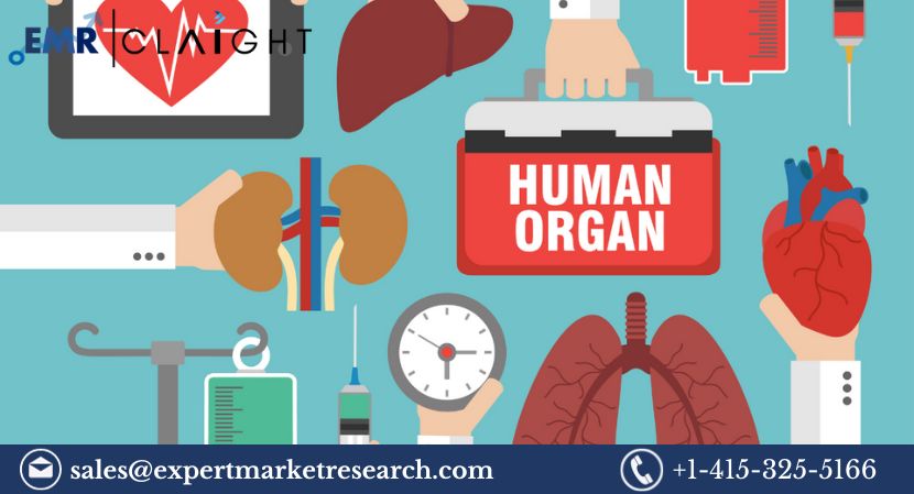 Read more about the article Global Transplantation Market Size to Grow at a CAGR of 9.4% During the Forecast Period of 2024-2032