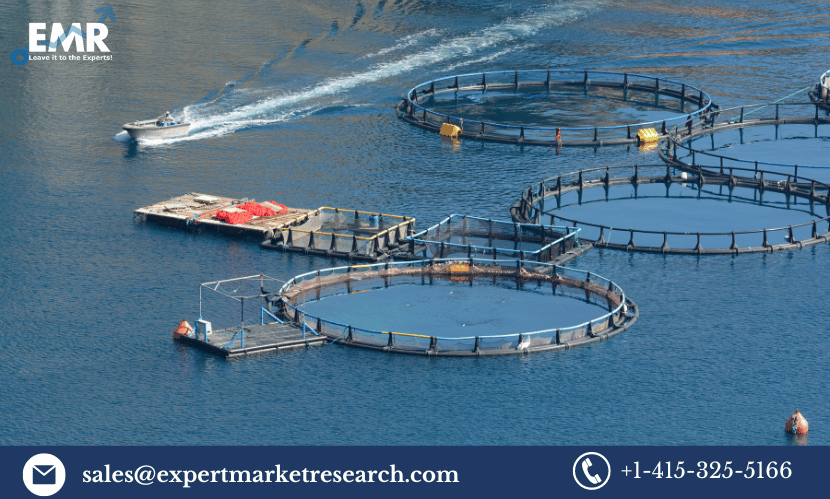 Read more about the article Aquaculture Market Size, Share, Report, Demand, Forecast 2023-2028