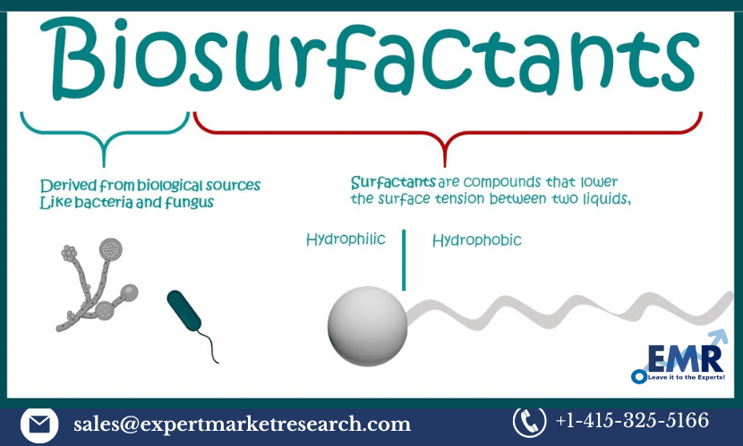 Read more about the article Biosurfactants Market Size, Share, Trends, Analysis, Forecast 2023-2028