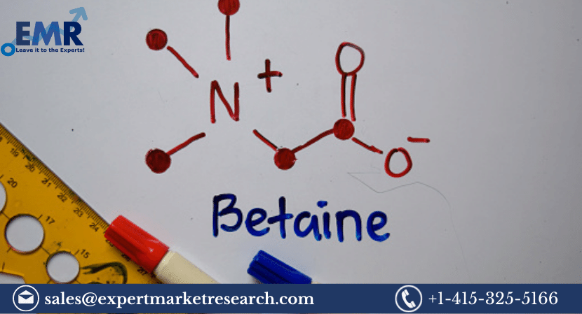 Read more about the article North America Betaines Market Size to Grow at a CAGR of 1.4% in the Forecast Period of 2023-2028