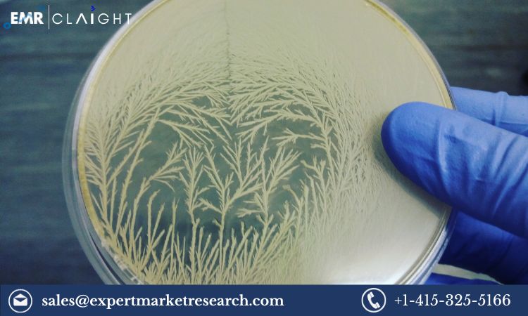 Read more about the article Global Agricultural Microbials Market Size, Share, Key Players, Report, Trends, Growth, Forecast 2024-2032