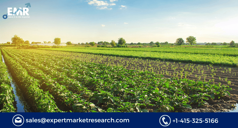 Read more about the article Global Agricultural and Forestry Machinery Market Size to Grow at a CAGR of 4.10% Between 2023 and 2028