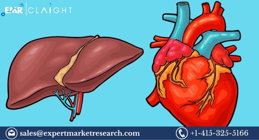 Read more about the article Transthyretin Amyloidosis Treatment Market Size to Grow at a CAGR of 15% in the Forecast Period of 2024-2032