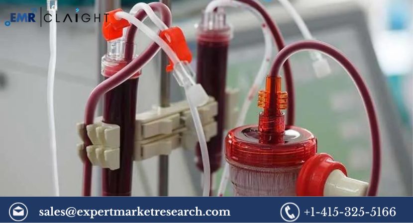 Read more about the article Global Dialyzer Market Size to Grow at a CAGR of 5.2% in the Forecast Period of 2024-2032