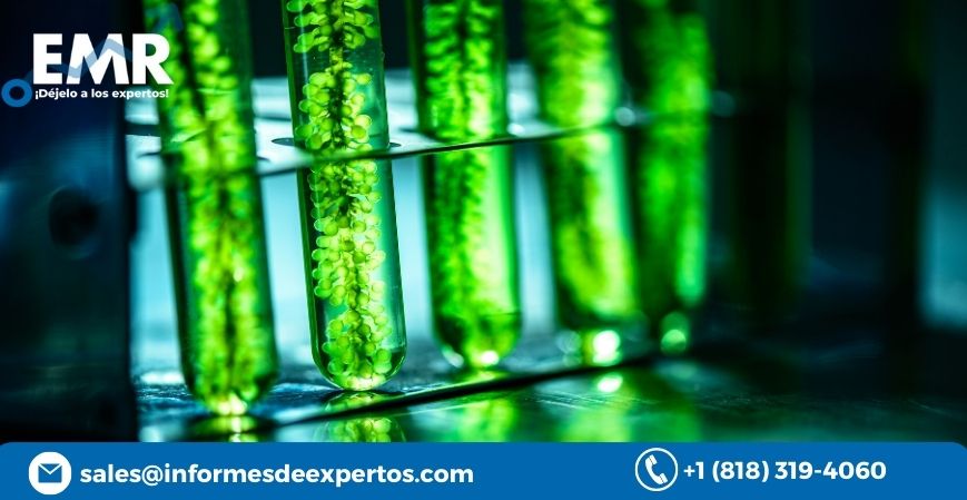 Read more about the article Mercado de Aceite de Algas se Multiplicarán en 2023-2028 a Causa de Excelente Fuente de Ácidos Grasos, Omega-3, y su Alto Contenido en Proteínas que Atraen Consumidores