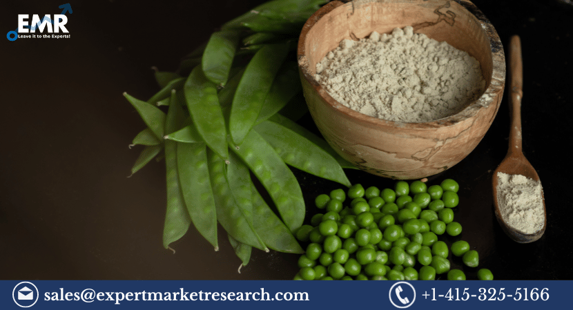 Read more about the article Global Pea Protein Market Size, Share, Growth, Trends, Report and Forecast 2023-2028