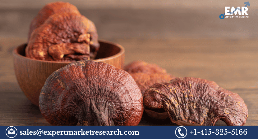 Read more about the article Global Reishi Mushroom Extract Market Size to Grow at a Healthy Rate in the Forecast Period of 2023-2028