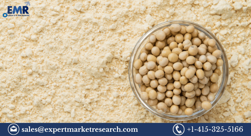 Read more about the article Global Soy Protein Market Size, Share, Trends, Growth, Report and Forecast 2024-2032