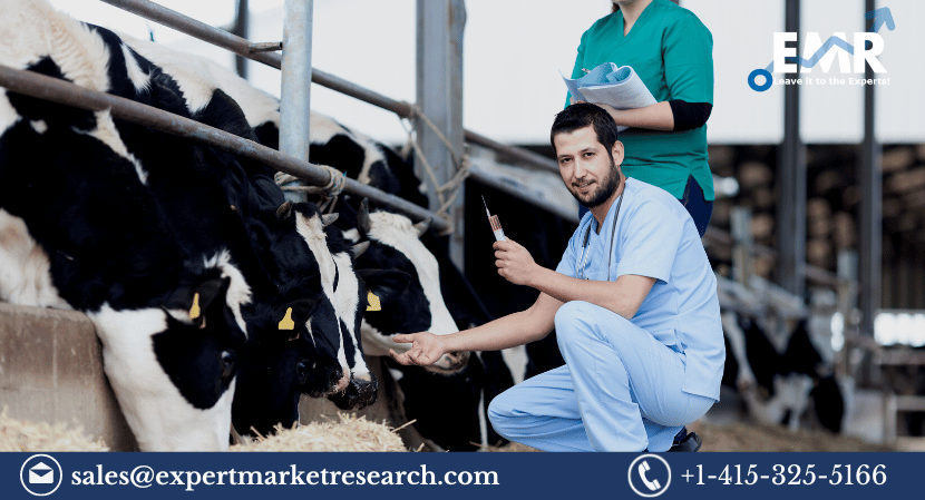 Read more about the article Global Veterinary Diagnostics Market Size, Share, Trends, Growth, Report and Forecast 2023-2028