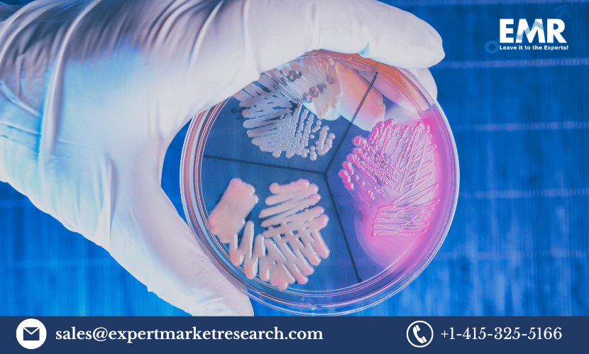 Read more about the article Global Anatomic Pathology Market Size to Grow at a CAGR of 5.9% in the Forecast Period of 2024-2032