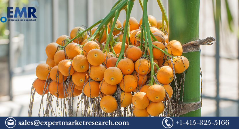 Read more about the article Global Areca Nut Market Size to Increase at a CAGR of 4.50% in the Forecast Period of 2023-2028