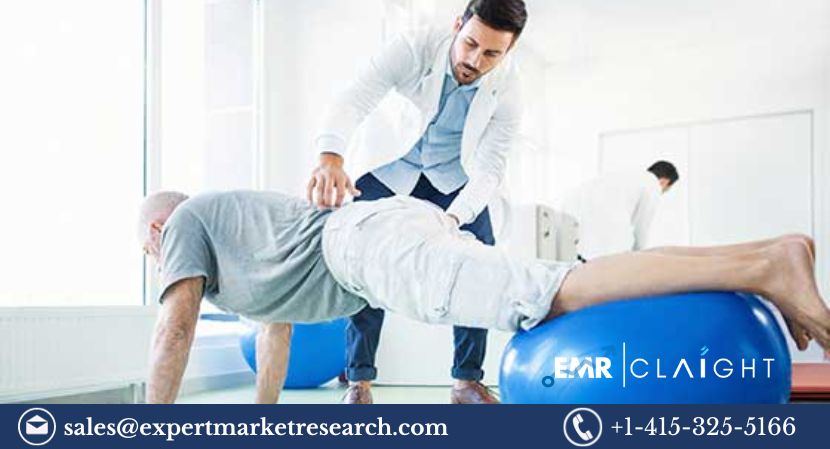 Read more about the article Chronic Lower Back Pain Treatment Market Size, Share, Price, Growth, Report, Forecast 2024-2032