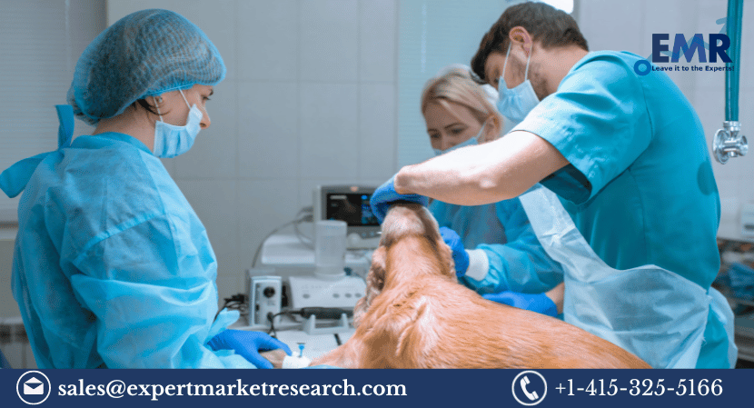 Read more about the article Companion Animal Healthcare Market Size, Share, Price, Growth, Report, Forecast 2024-2032