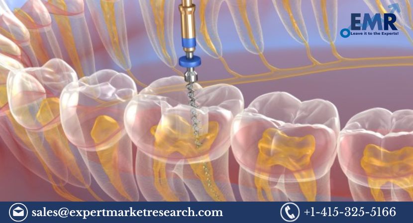 Read more about the article Endodontics Market Size, Share, Price, Trends, Report and Forecast 2024-2032