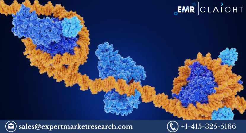 Read more about the article Global Epigenomics Market Size, Share, Price, Trends, Growth, Report, Forecast 2024-2032