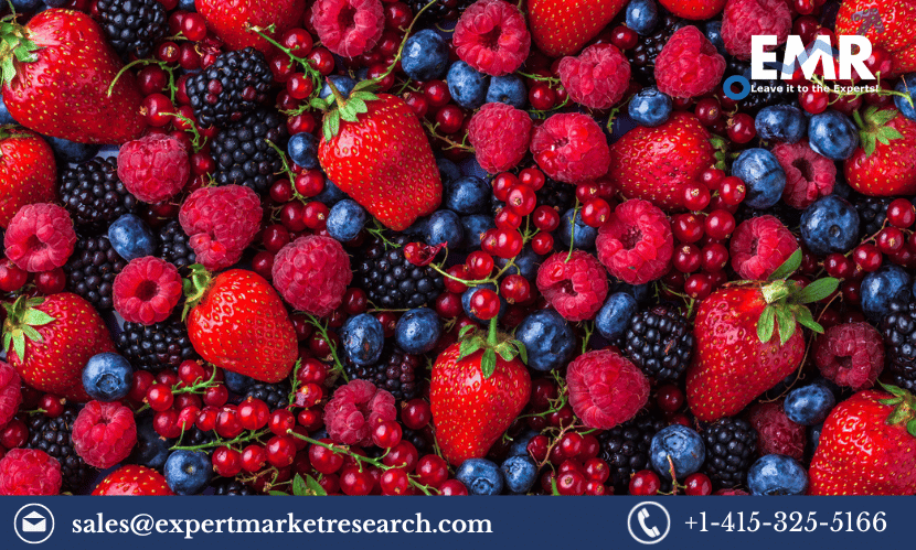 Read more about the article Global Fresh Berries Market Share, Size, Price, Analysis, Outlook, Report and Forecast 2024-2032