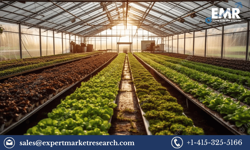 You are currently viewing Qatar Greenhouse Market Share, Size, Price, Growth, Analysis, Research Report and Forecast 2024-2032