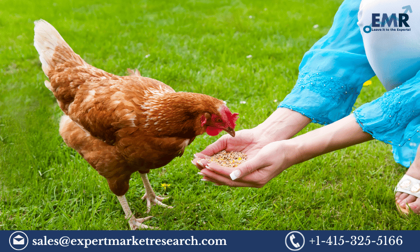 Read more about the article India Poultry Feed Market Size, Share, Growth, Price, Analysis, Demand, Report, Forecast 2024-2032