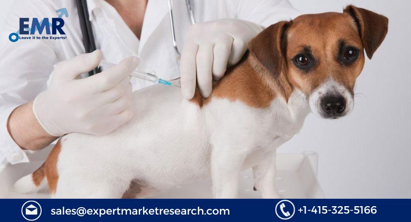 Read more about the article Global Animal Vaccine Market Size, Share, Price, Trends, Growth, Report and Forecast 2023-2031