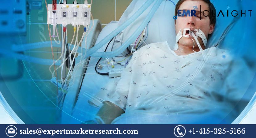 Read more about the article Global Enteral Feeding Devices Market Trends, Size, Share, Analysis, Report and Forecast 2024-2032