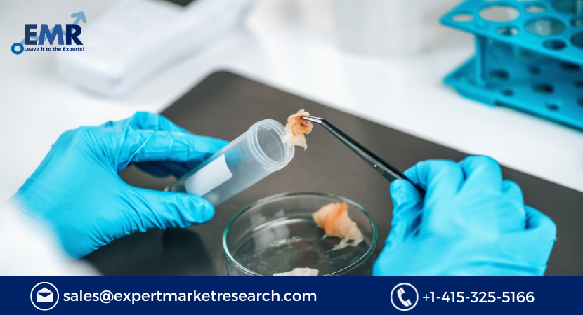 You are currently viewing Global Food Safety Testing Market Size to Grow at a CAGR of 8.10% in the Forecast Period of 2023-2028