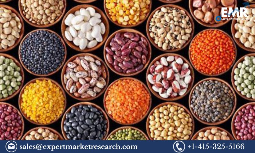 Read more about the article Global Hybrid Seeds Market Size, Share, Price, Trends, Growth, Report and Forecast 2023 – 2028