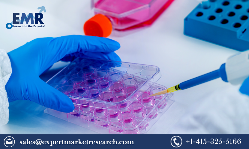 Read more about the article Global In Vitro Toxicology Testing Market Size, Share, Price, Trends, Growth, Report and Forecast 2023-2028