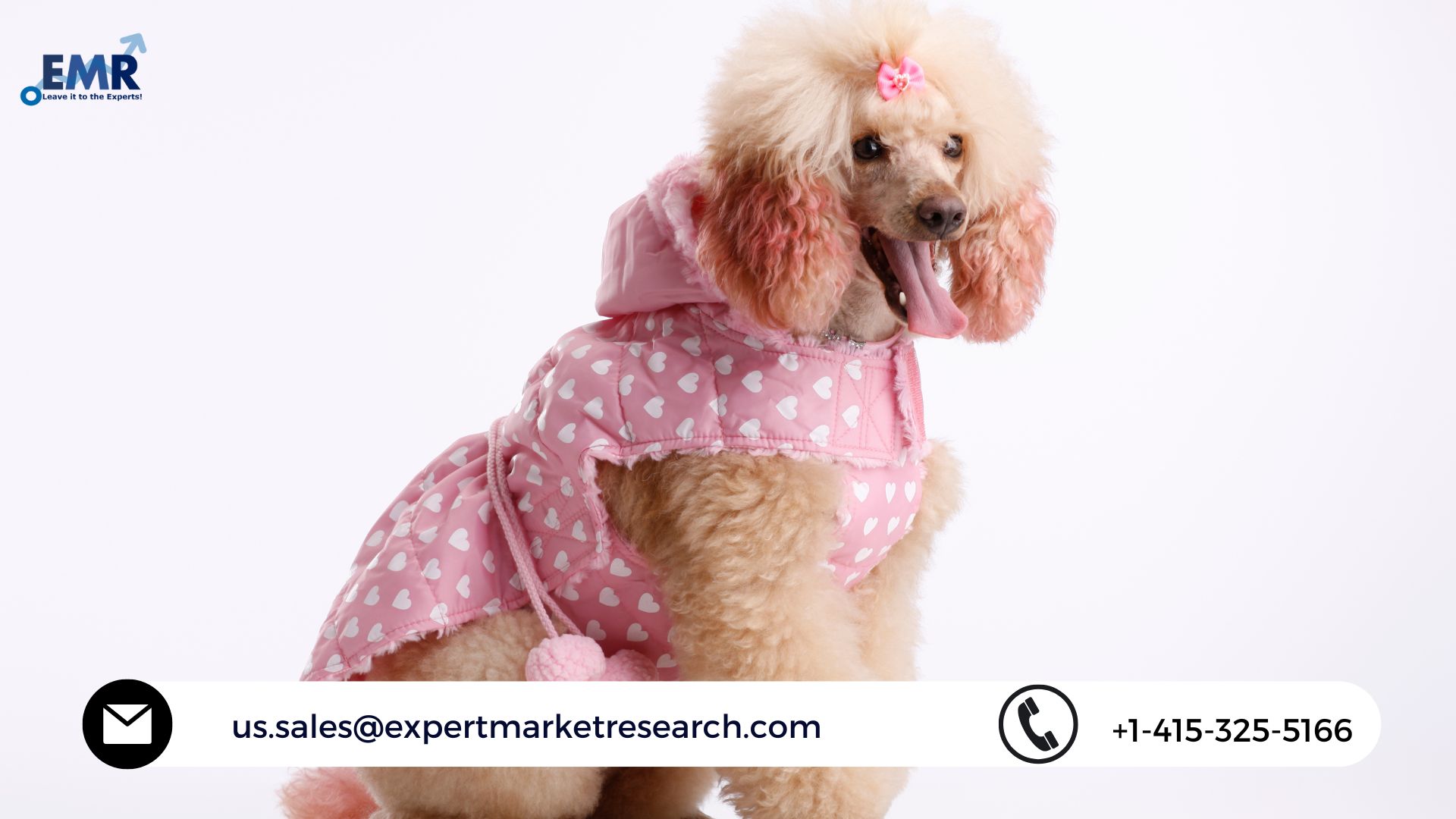 Read more about the article Global Pet Clothing Market Size to Grow at a CAGR of 4.56% During 2023-2028