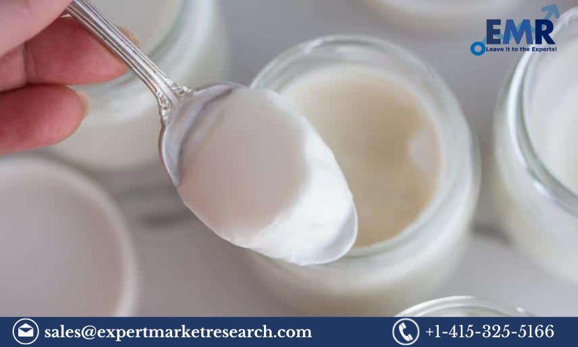 You are currently viewing South Korea Lactose-Free Yogurt Market Growth, Size, Share, Report and Forecast 2024-2032