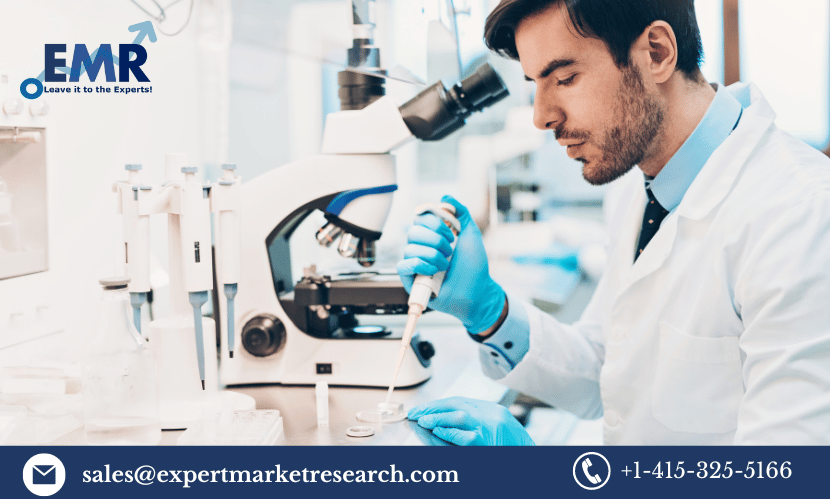 Read more about the article Global In Vitro Fertilization Market Size to Grow at a CAGR of 7.10% in the Forecast Period of 2023-2028