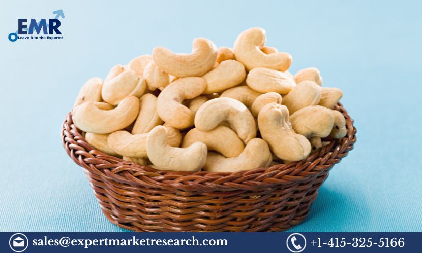 Read more about the article Africa Cashew Market Share, Size, Trends, Growth, Analysis, Report and Forecast 2024-2032