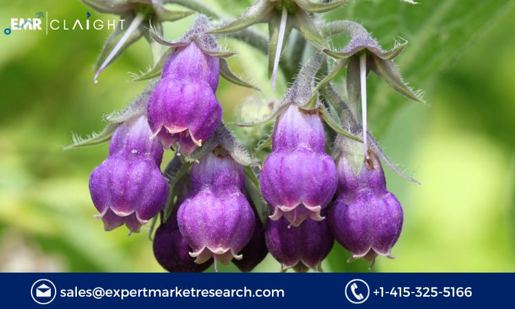 Read more about the article Global Allantoin Market Size, Share, Growth, Analysis, Report and Forecast 2024-2032