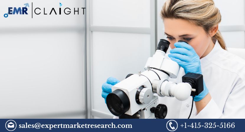 Read more about the article Global Colposcopy Market Size, Share, Price, Trends, Growth Report and Forecast 2024-2032