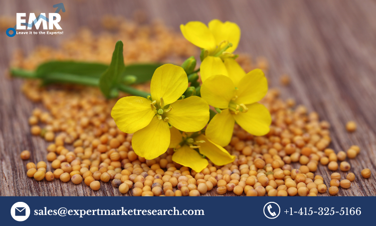 Read more about the article Global Flower Seed Market Size, Share, Trends, Growth, Analysis, Report, Forecast 2023-2028