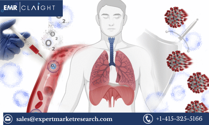 Read more about the article Global Hyperoxemia Treatment Market Share, Size, Price, Trends, Growth, Analysis, Key Players, Demand, Research Report and Forecast of 2024-2032