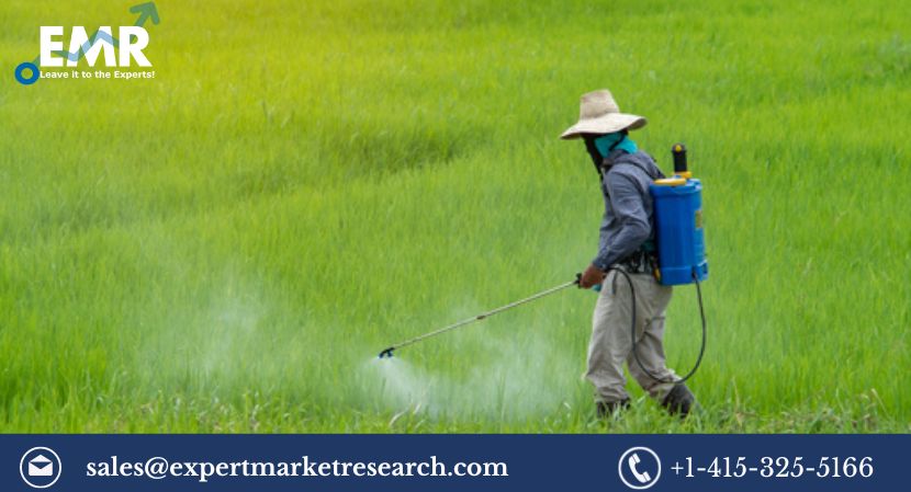 Read more about the article India Fertilizer Market Size, Share, Trends, Growth, Key Players, Report and Forecast 2024-2032