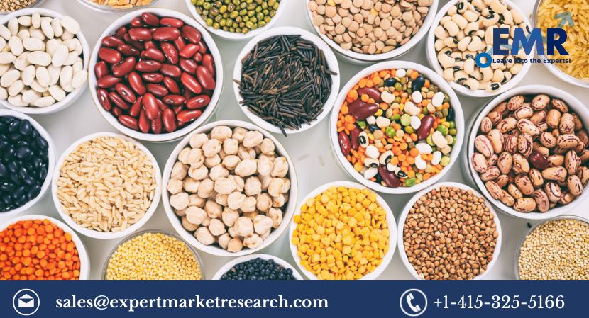 Read more about the article North America Alternative Proteins Market Size, Share, Trends, Growth, Key Players, Report and Forecast 2024-2032