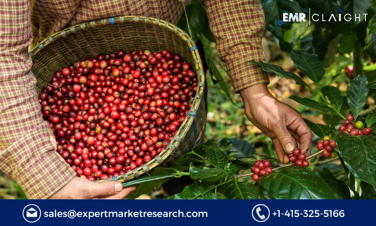 Read more about the article Global Organic Coffee Market Size, Share, Growth, Report and Forecast 2024-2032