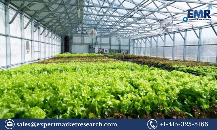 Read more about the article Global Smart Greenhouse Market Size, Share, Trends, Growth, Industry Report and Forecast 2023-2028