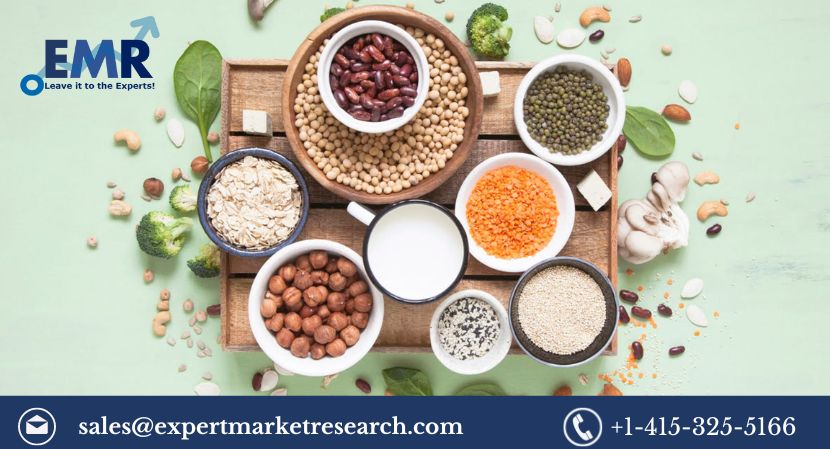 Read more about the article United States Alternative Proteins Market Size, Share, Trends, Growth, Key Players, Report and Forecast 2024-2032