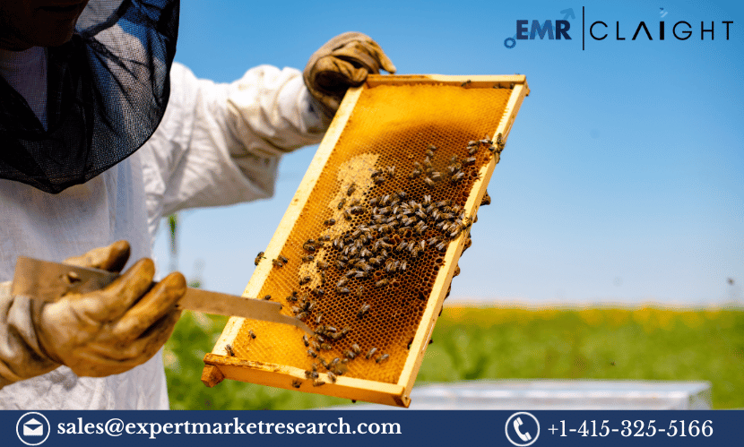 Read more about the article Indian Apiculture Market Size, Share, Growth, Demand, Key Players, Analysis, Report, Forecast 2024-2032