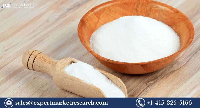 Read more about the article Sodium Lauroyl Isethionate Market Report: Global Industry Overview and Trends