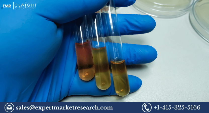 Read more about the article Global Urease Market Dynamics: Size, Trends, and Opportunities