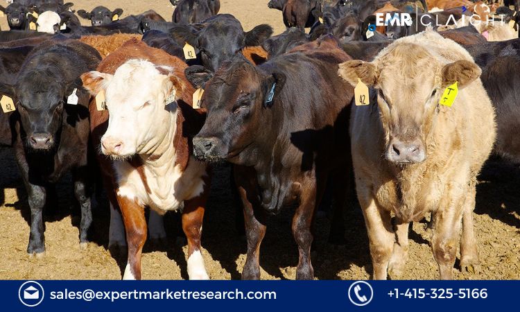 Bovine Respiratory Disease Treatment Market Growth 2024 2032