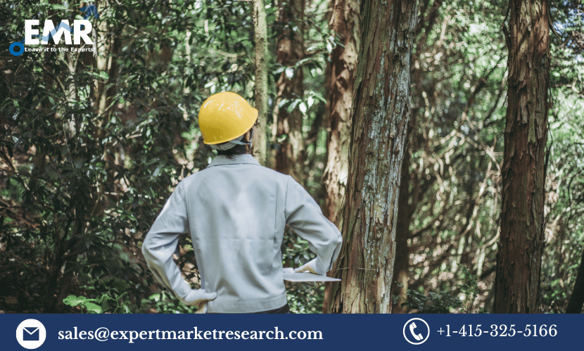 Read more about the article Global Precision Forestry Market Size to Grow at a CAGR of 8.70% in the Forecast Period of 2024-2032