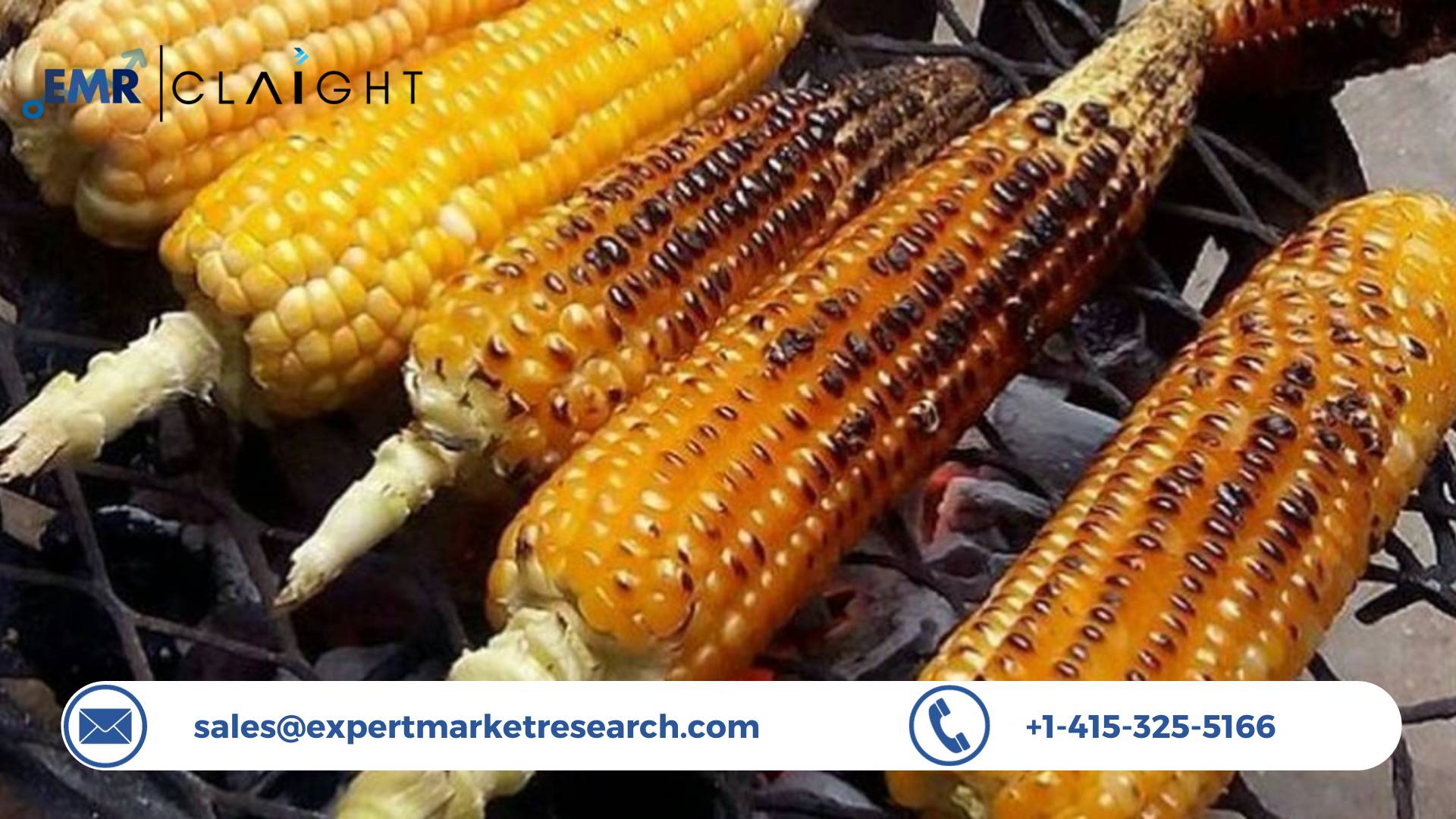 Read more about the article Global Roasted Corn Market Size, Share, Trends, Growth, Key Players, Report and Forecast 2024-2032