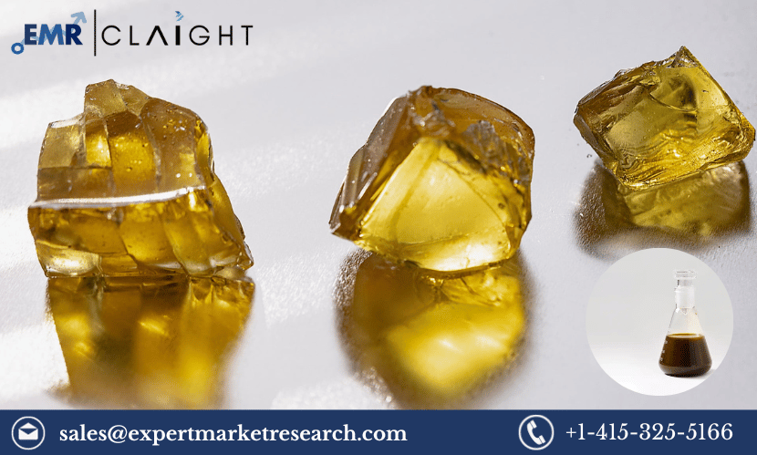 Read more about the article Global Tall Oil Rosin Market Share, Size, Price, Analysis, Growth, Trends, Outlook, Research Report and Forecast 2024-2032