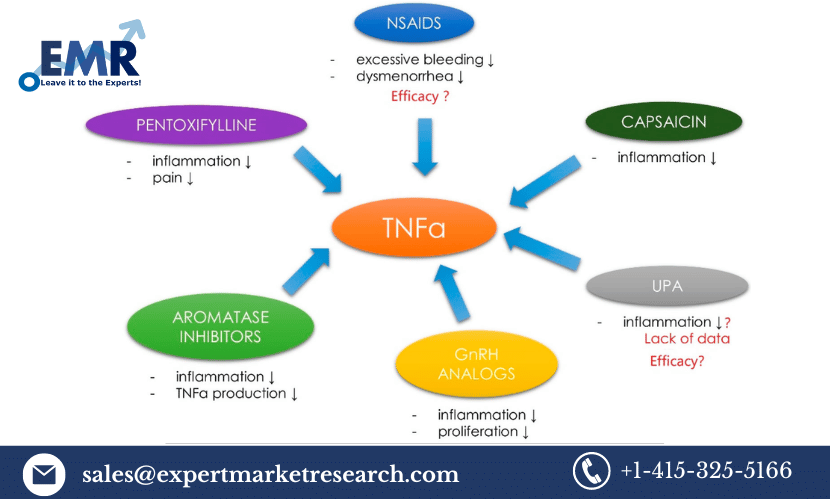 Read more about the article Global Tumour Necrosis Factor Inhibitor Drugs Market Size to Grow at a CAGR of 0.7% in the Forecast Period of 2024-2032